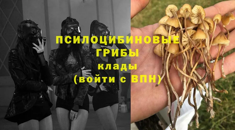 Галлюциногенные грибы Magic Shrooms  Асбест 